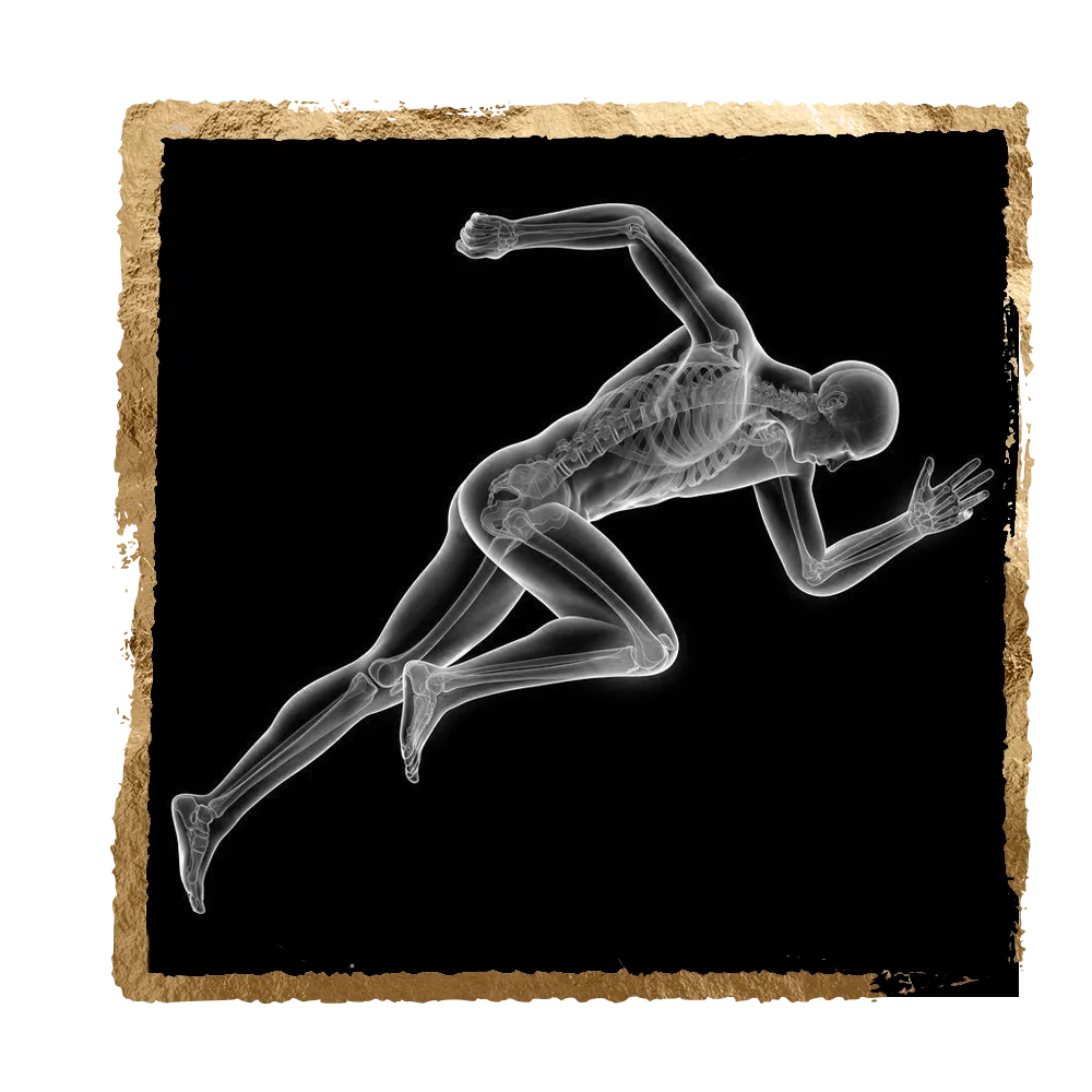 X-ray view of a runner in motion against a black background
