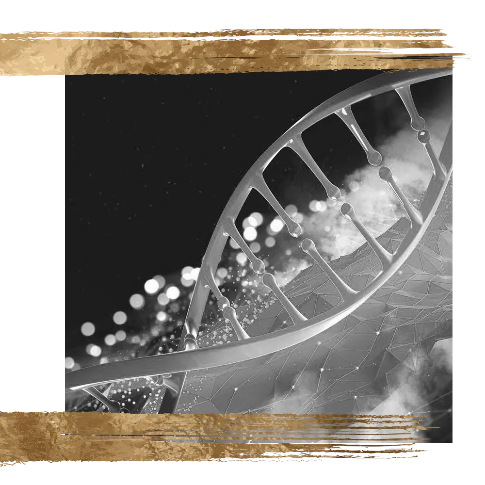 DNA helix rendering